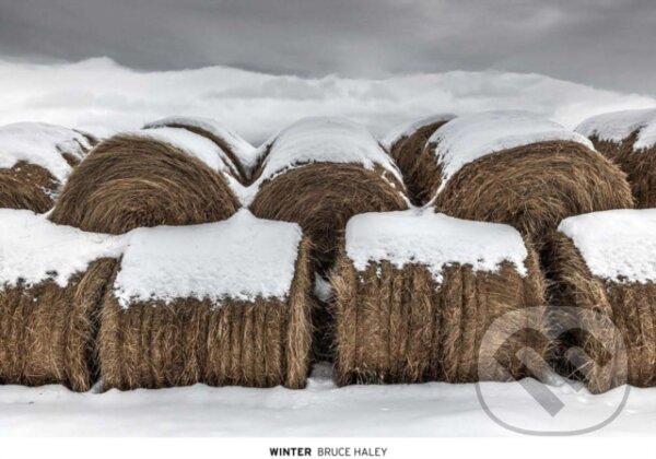 Kniha: Winter (). , 2024 Kniha: Winter (). , 2024