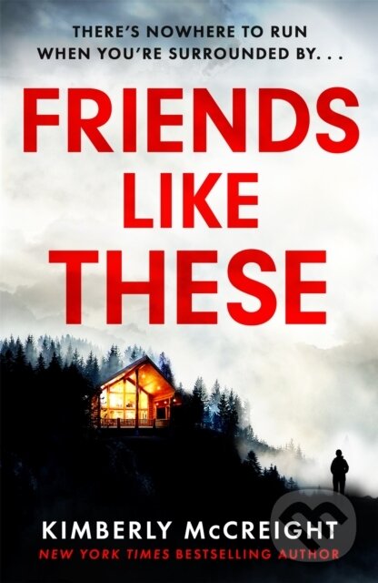 Kniha: Friends Like These (Kimberly Mccreight). Headline Book, 2021 Kniha: Friends Like These (Kimberly Mccreight). Headline Book, 2021
