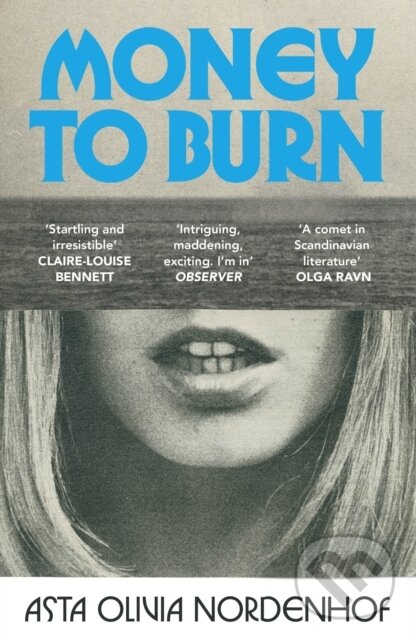 Kniha: Money to Burn (Asta Olivia Nordenhof). Vintage, 2026 Kniha: Money to Burn (Asta Olivia Nordenhof). Vintage, 2026