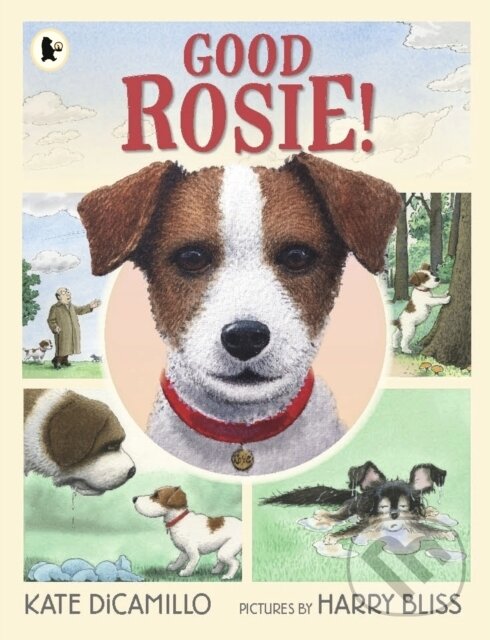 Kniha: Good Rosie! (Kate DiCamillo). Walker books, 2019 Kniha: Good Rosie! (Kate DiCamillo). Walker books, 2019