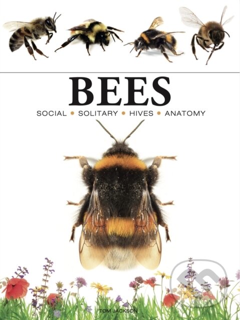 Kniha: Bees (Tom Jackson). , 2024 Kniha: Bees (Tom Jackson). , 2024