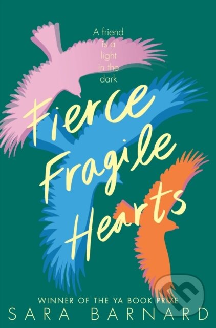 Kniha: Fierce Fragile Hearts (Sara Barnard). Pan Macmillan, 2021 Kniha: Fierce Fragile Hearts (Sara Barnard). Pan Macmillan, 2021
