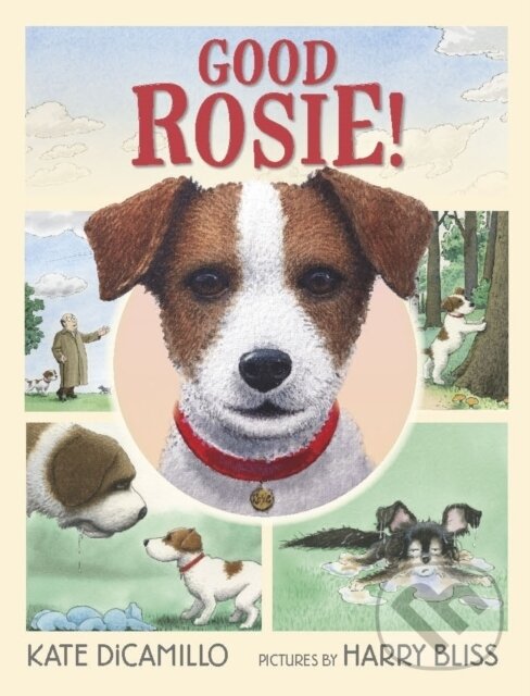 Kniha: Good Rosie! (Kate Dicamillo). Walker books, 2018 Kniha: Good Rosie! (Kate Dicamillo). Walker books, 2018