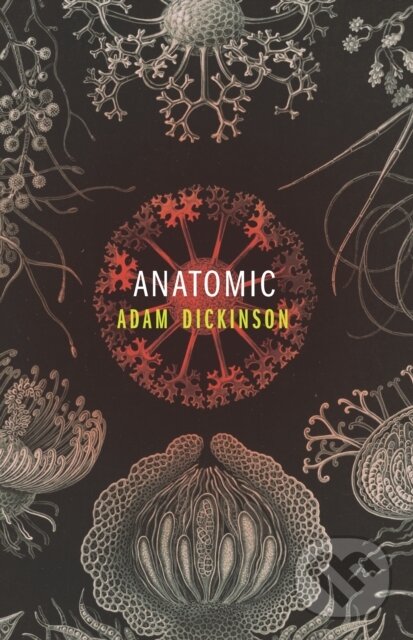 Kniha: Anatomic (Dickinson Adam). Coach House Books, 2018 Kniha: Anatomic (Dickinson Adam). Coach House Books, 2018