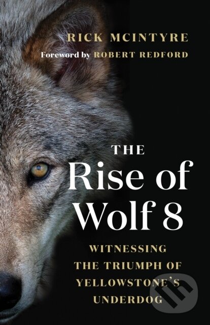 Kniha: The Rise of Wolf 8 (Rick McIntyre). , 2020 Kniha: The Rise of Wolf 8 (Rick McIntyre). , 2020