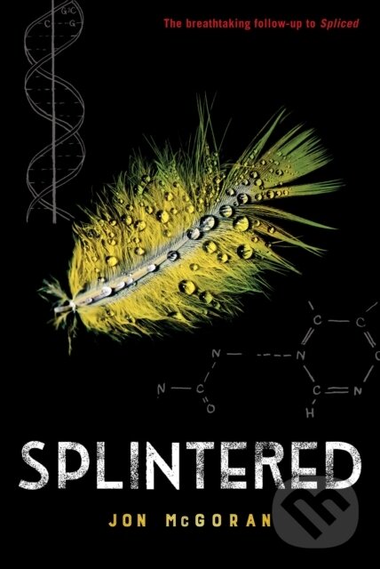 Kniha: Splintered (Jon Mcgoran). Holiday house, 2020 Kniha: Splintered (Jon Mcgoran). Holiday house, 2020