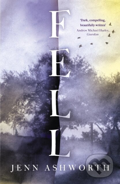 Kniha: Fell (Jenn Ashworth). Sceptre, 2017 Kniha: Fell (Jenn Ashworth). Sceptre, 2017