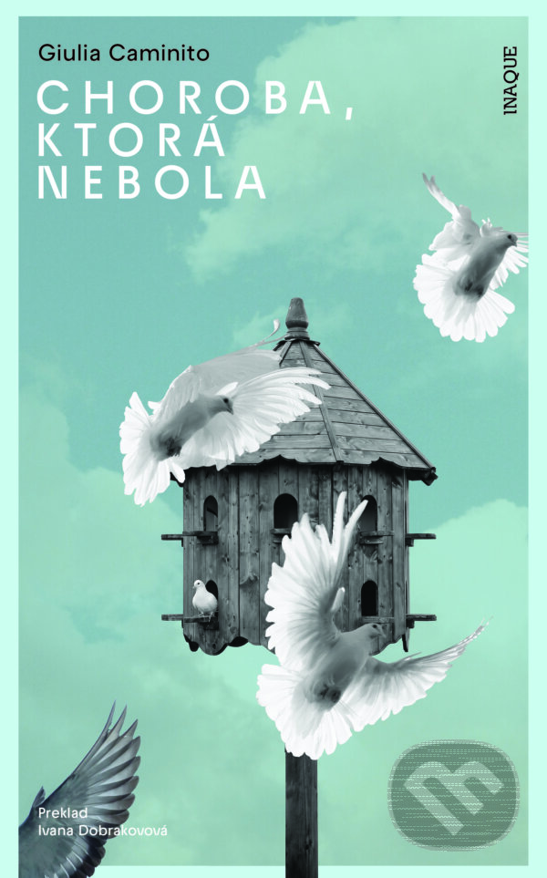 Kniha: Choroba, ktorá nebola (Giulia Caminito). Inaque, 2026 Kniha: Choroba, ktorá nebola (Giulia Caminito). Inaque, 2026