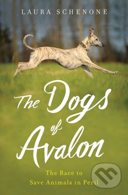 Kniha: The Dogs of Avalon (Laura Schenone). WW Norton & Co, 2017 Kniha: The Dogs of Avalon (Laura Schenone). WW Norton & Co, 2017