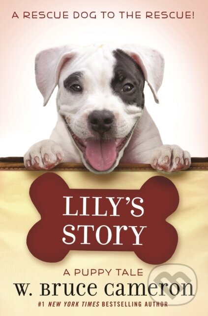 Kniha: A Lily's Story (W. Bruce Cameron). , 2024 Kniha: A Lily's Story (W. Bruce Cameron). , 2024