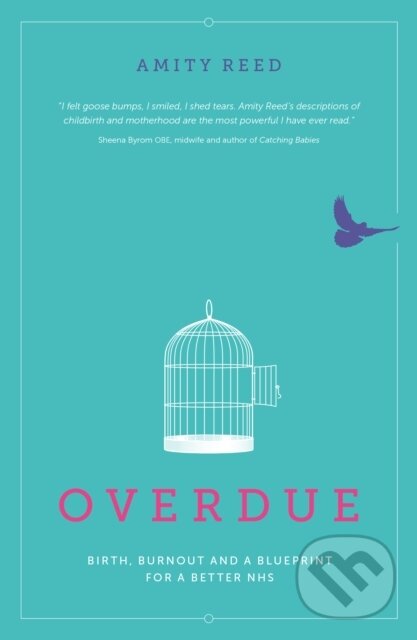 Kniha: Overdue (Amity Reed). Pinter & Martin, 2020 Kniha: Overdue (Amity Reed). Pinter & Martin, 2020