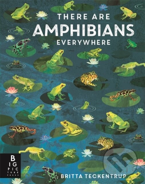 Kniha: There Are Amphibians Everywhere (Camilla de la Bedoyere). Bonnier Books, 2026 Kniha: There Are Amphibians Everywhere (Camilla de la Bedoyere). Bonnier Books, 2026