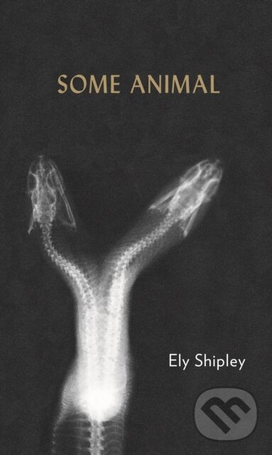 Kniha: Some Animal (Ely Shipley). Nightboat Books, 2018 Kniha: Some Animal (Ely Shipley). Nightboat Books, 2018