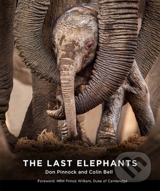 Kniha: The Last Elephants (Colin Bell a Don Pinnock). Hardie Grant, 2019 Kniha: The Last Elephants (Colin Bell a Don Pinnock). Hardie Grant, 2019
