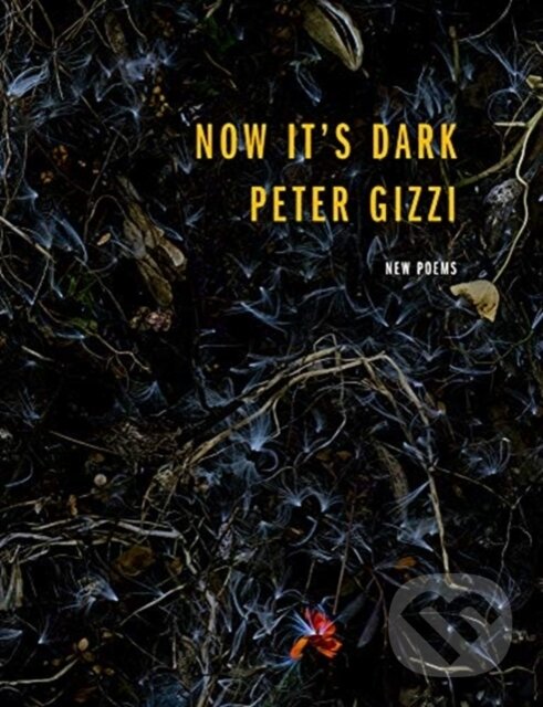 Kniha: Now It's Dark (Peter Gizzi). Wesleyan University Press, 2020 Kniha: Now It's Dark (Peter Gizzi). Wesleyan University Press, 2020