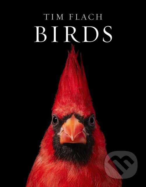 Kniha: Birds (Tim Flach). ABRAMS, 2021 Kniha: Birds (Tim Flach). ABRAMS, 2021