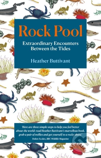 Kniha: Rock Pool (Heather Buttivant). September Publishing, 2020 Kniha: Rock Pool (Heather Buttivant). September Publishing, 2020