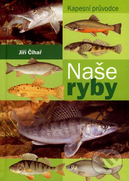 Kniha: Naše ryby (Jiří Čihař). Ottovo nakladatelství, 2003 Kniha: Naše ryby (Jiří Čihař). Ottovo nakladatelství, 2003