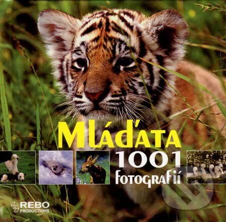 Kniha: Mláďata - 1001 fotografií (Rebo). Rebo, 2007 Kniha: Mláďata - 1001 fotografií (Rebo). Rebo, 2007