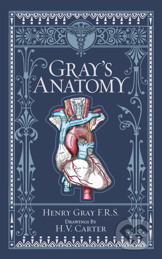 Kniha: Gray's Anatomy (Henry Gray). Barnes and Noble, 2019 Kniha: Gray's Anatomy (Henry Gray). Barnes and Noble, 2019