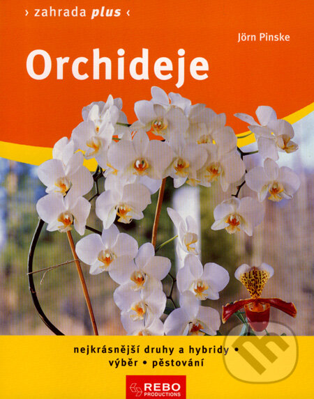 Kniha: Orchideje (Jörn Pinske). Rebo, 2008 Kniha: Orchideje (Jörn Pinske). Rebo, 2008