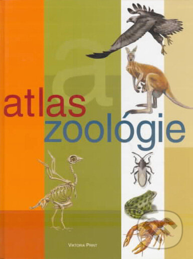 Kniha: Atlas zoológie (Viktoria Print). Viktoria Print, 2008 Kniha: Atlas zoológie (Viktoria Print). Viktoria Print, 2008