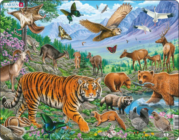 Puzzle: Amurský tiger puzzle FH39 (Larsen). Larsen, 2020 Puzzle: Amurský tiger puzzle FH39 (Larsen). Larsen, 2020