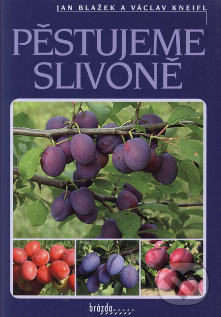 Kniha: Pěstujeme slivoně (Jan Blažek a Václav Kneifl). Brázda, 2005 Kniha: Pěstujeme slivoně (Jan Blažek a Václav Kneifl). Brázda, 2005