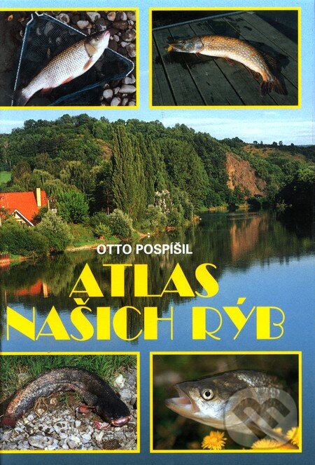 Kniha: Atlas našich rýb (Otto Pospíšil). Ottovo nakladatelství, 2008 Kniha: Atlas našich rýb (Otto Pospíšil). Ottovo nakladatelství, 2008