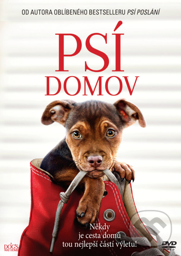 Film: Psí domov (Charles Martin Smith) (DVD). Bonton Film, 2019 Film: Psí domov (Charles Martin Smith) (DVD). Bonton Film, 2019