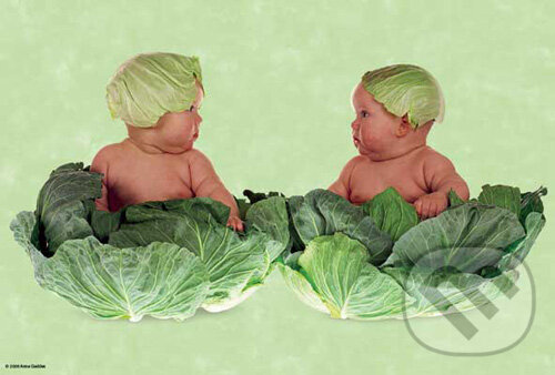 Puzzle: Kapustové deti (Anne Geddes). Schmidt Puzzle: Kapustové deti (Anne Geddes). Schmidt