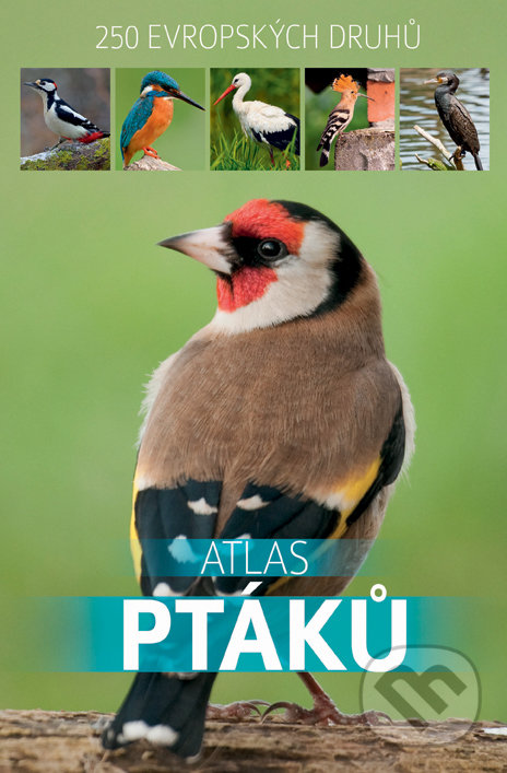 Kniha: Atlas ptáků (Bookmedia). Bookmedia, 2019 Kniha: Atlas ptáků (Bookmedia). Bookmedia, 2019