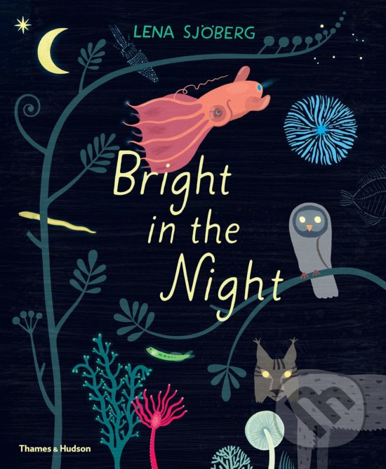 Kniha: Bright in the Night (Lena Sjöberg). Thames & Hudson, 2019 Kniha: Bright in the Night (Lena Sjöberg). Thames & Hudson, 2019