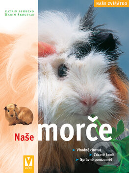 Kniha: Naše morče (Katrin Behrend a kolektiv). Vašut, 2006 Kniha: Naše morče (Katrin Behrend a kolektiv). Vašut, 2006