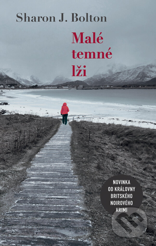 E-kniha: Malé temné lži (Sharon J. Bolton). Domino, 2019 E-kniha: Malé temné lži (Sharon J. Bolton). Domino, 2019