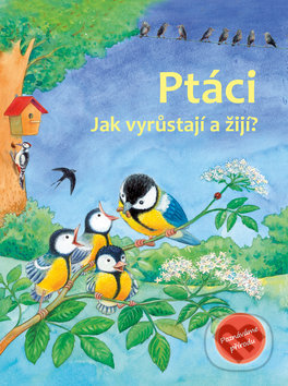 Kniha: Ptáci (Friederun Reichenstetter). Bookmedia, 2019 Kniha: Ptáci (Friederun Reichenstetter). Bookmedia, 2019