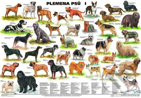 Plakát - Plemena psů I (Scientia). Scientia, 2019 Plakát - Plemena psů I (Scientia). Scientia, 2019