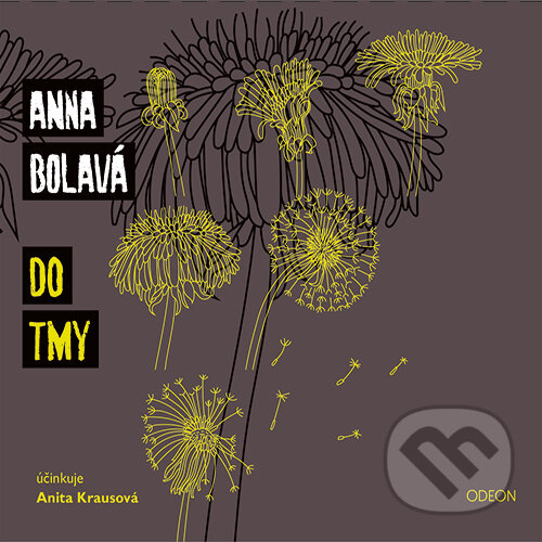 Audiokniha: Do tmy (Anna Bolavá). Euromedia Group, 2019 Audiokniha: Do tmy (Anna Bolavá). Euromedia Group, 2019