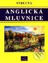 Kniha: Anglická mluvnice (M. Sobotíková). INFOA, 2001 Kniha: Anglická mluvnice (M. Sobotíková). INFOA, 2001