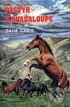 Kniha: Pastýř z Quadaloupe (Zane Grey). Návrat, 1999 Kniha: Pastýř z Quadaloupe (Zane Grey). Návrat, 1999