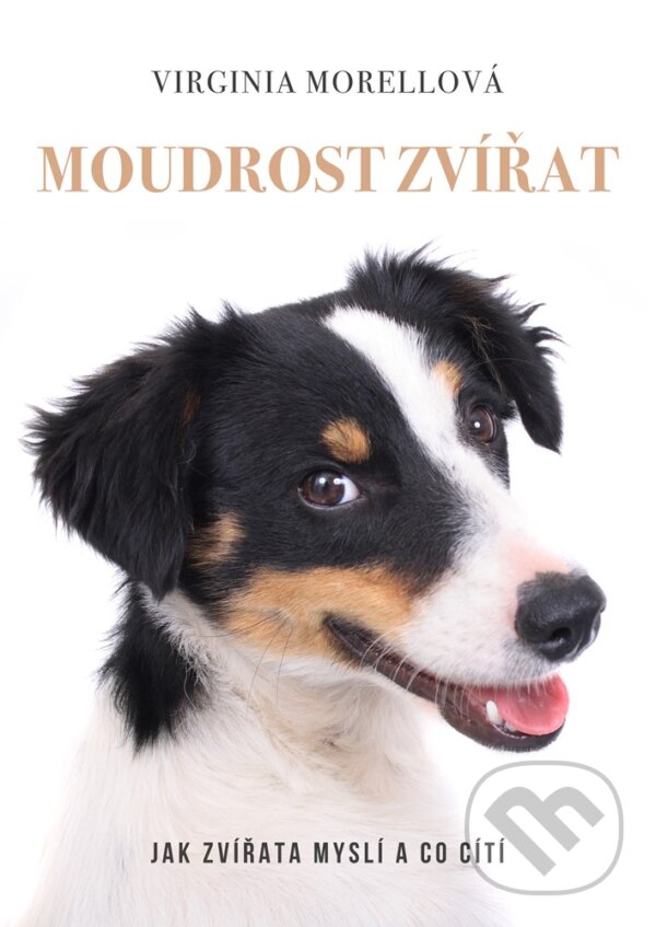 E-kniha: Moudrost zvířat (Virginia Morell). XYZ, 2020 E-kniha: Moudrost zvířat (Virginia Morell). XYZ, 2020