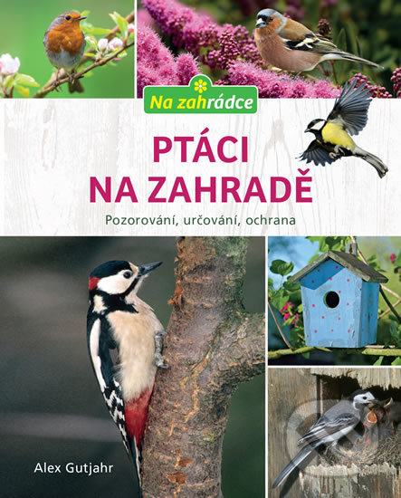 Kniha: Ptáci na zahradě (Axel Gutjahr). Esence, 2020 Kniha: Ptáci na zahradě (Axel Gutjahr). Esence, 2020