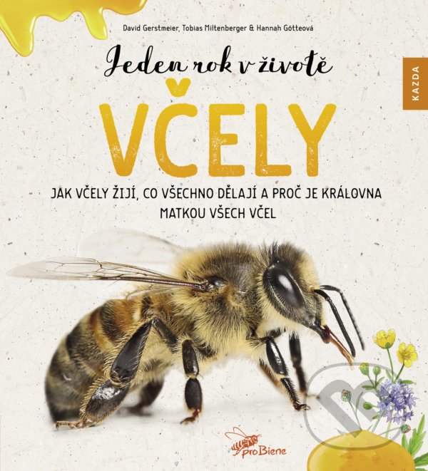Kniha: Jeden rok v životě včely (David Gerstmeier, Hannah Götte a Tobias Miltenberger). Nakladatelství KAZDA, 2020 Kniha: Jeden rok v životě včely (David Gerstmeier, Hannah Götte a Tobias Miltenberger). Nakladatelství KAZDA, 2020