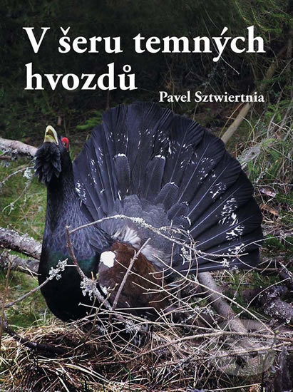 Kniha: V šeru temných hvozdů (Pavel Sztwiertnia). Akcent, 2020 Kniha: V šeru temných hvozdů (Pavel Sztwiertnia). Akcent, 2020