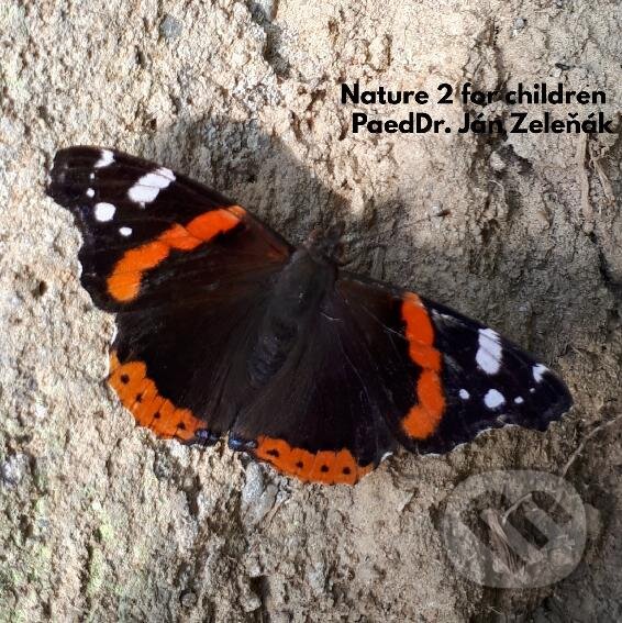 E-kniha: Nature for children, part 2 (Ján Zeleňák). Ján Zeleňák E-kniha: Nature for children, part 2 (Ján Zeleňák). Ján Zeleňák