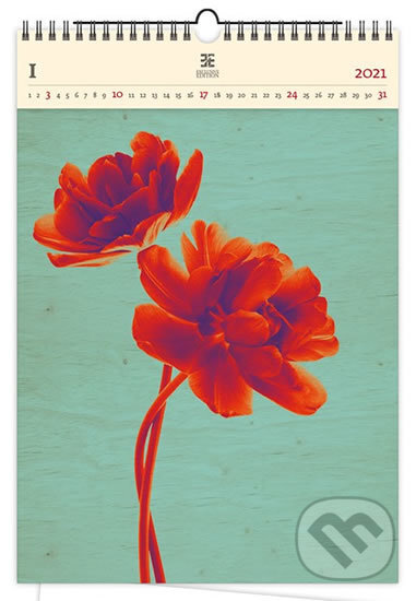Tulip (Helma365). Helma365, 2020 Tulip (Helma365). Helma365, 2020
