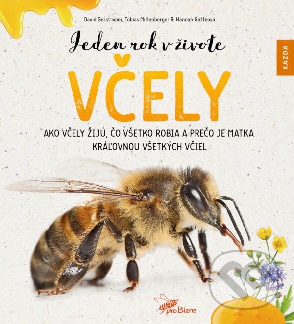 Kniha: Jeden rok v živote včely (David Gerstmeier, Hannah Götte a Tobias Miltenberger). Nakladatelství KAZDA, 2020 Kniha: Jeden rok v živote včely (David Gerstmeier, Hannah Götte a Tobias Miltenberger). Nakladatelství KAZDA, 2020