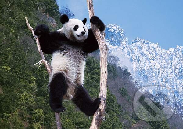 Puzzle: Panda (Clementoni). Clementoni Puzzle: Panda (Clementoni). Clementoni