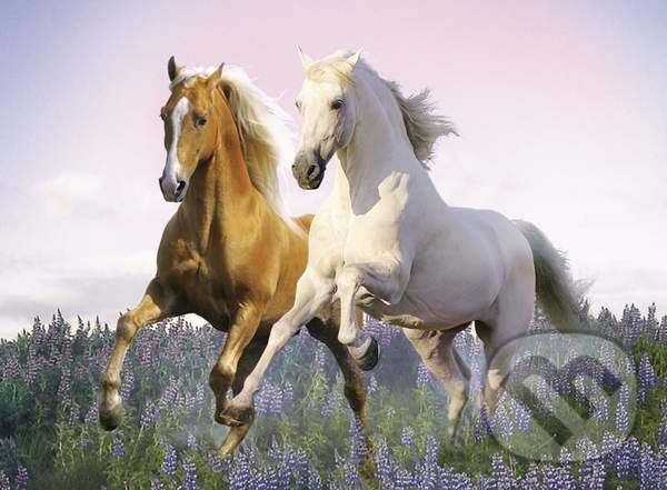Puzzle: Kone (Clementoni). Clementoni Puzzle: Kone (Clementoni). Clementoni