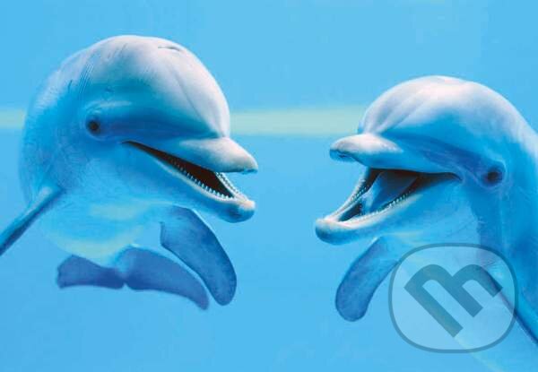 Dolphins, Clementoni
